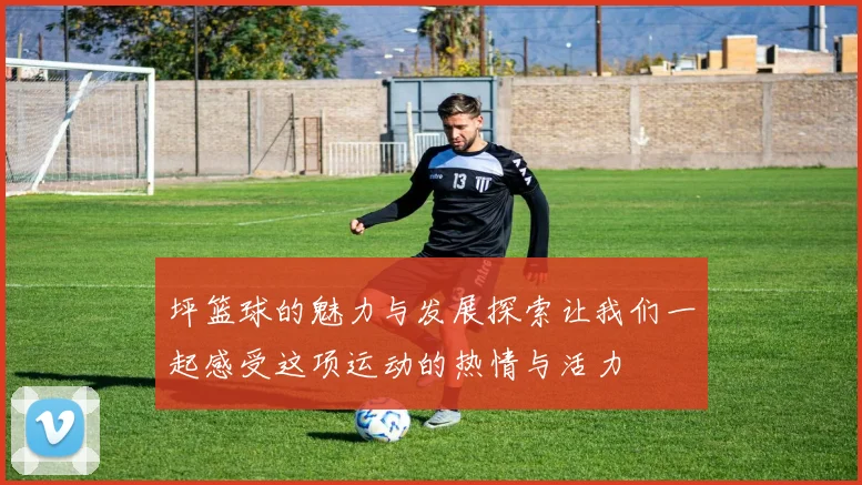 坪篮球的魅力与发展探索让我们一起感受这项运动的热情与活力