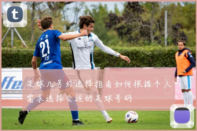 足球几号好选择指南如何根据个人需求选择合适的足球号码