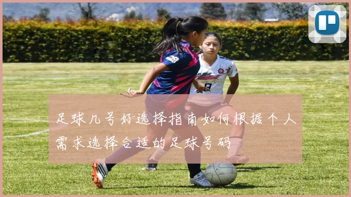 足球几号好选择指南如何根据个人需求选择合适的足球号码