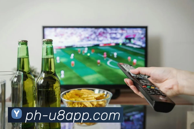 多媒体互动体验